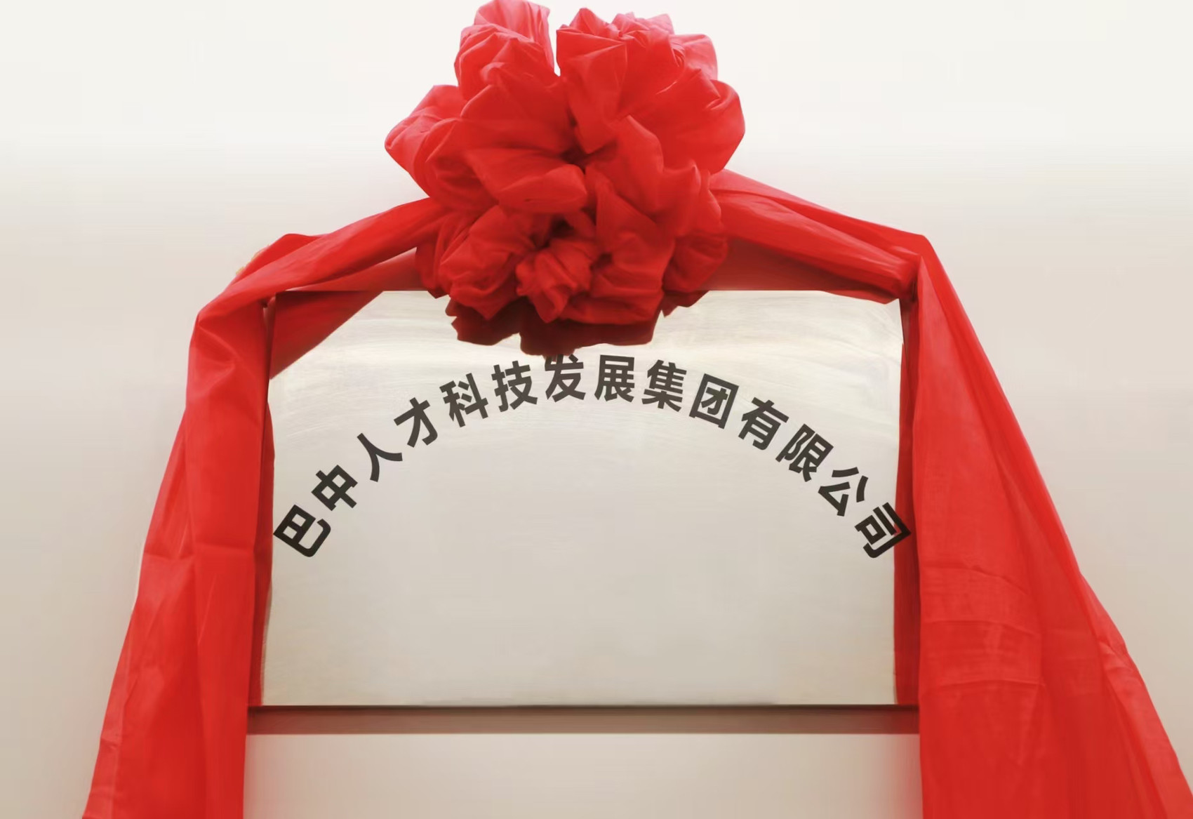 巴中人才科技发展集团有限公司揭牌成立